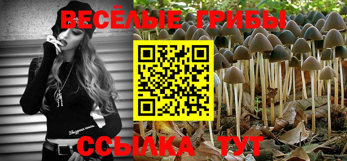 Псилоцибиновые грибы мухоморы Долгопрудный