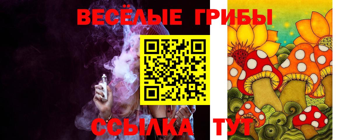 Долгопрудный  Псилоцибиновые грибы Cubensis  Псилоцибиновые грибы ЛСД  Вход с VPN 